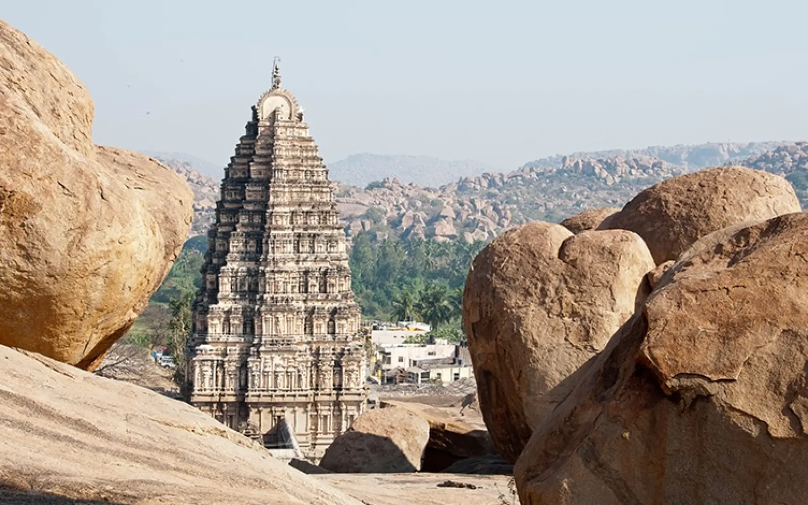 liebenberger-hampi-M