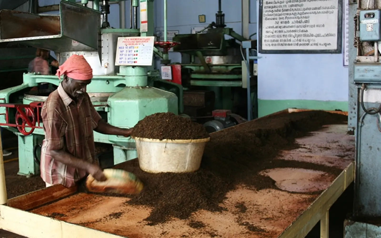 Teeplantage02