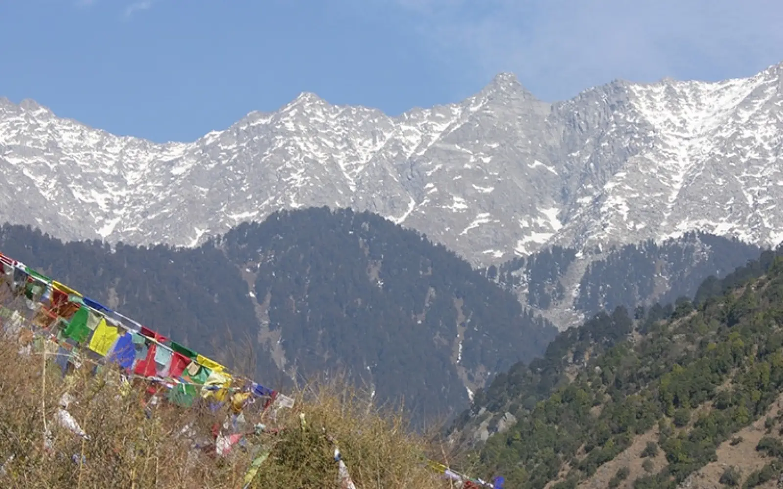 ccl_htsh_kkch_Dharamsala