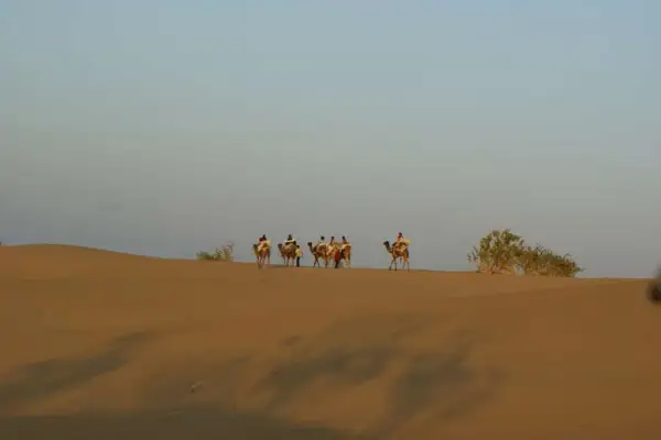 Rajasthan: Auf dem Kamel durch die Wüste