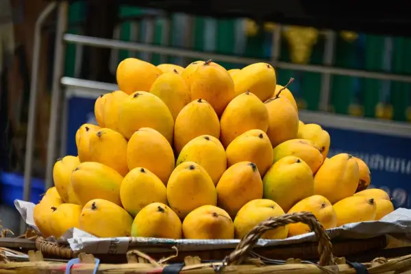 Die faszinierende Welt der indischen Mangos – Eine Reise durch exotische Aromen und kulturelle Bedeutung