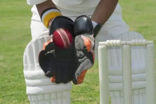 IPL – die besucherstärkste Cricketliga der Welt
