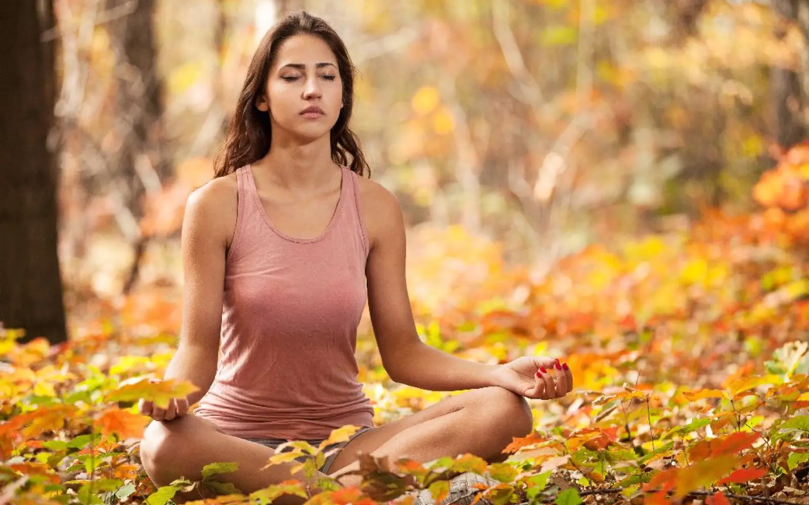 Dhyana- Meditation