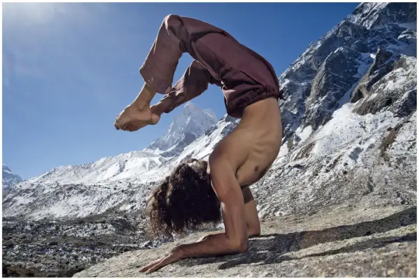 Buchtipp: „Zu den Quellen des Yoga“