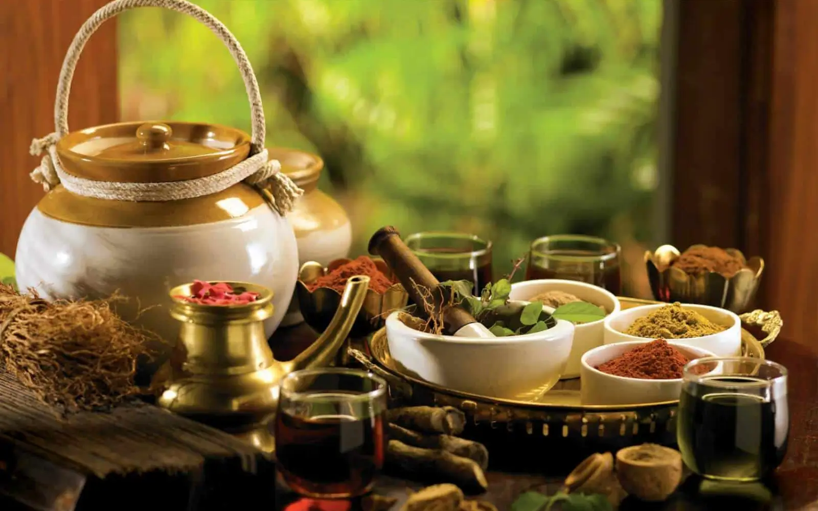 Ayurveda wird systemfähig – Europas Rolle zwischen WHO, Forschung und Gesundheitssystem