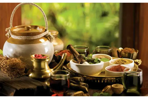 Ayurveda weltweit: Traditionelles Wissen im wissenschaftlichen Kontext
