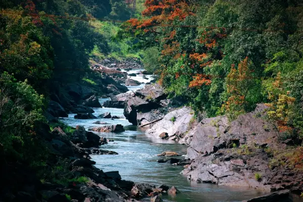 Kaffee und Natur, Natur, Natur – Chikmagalur