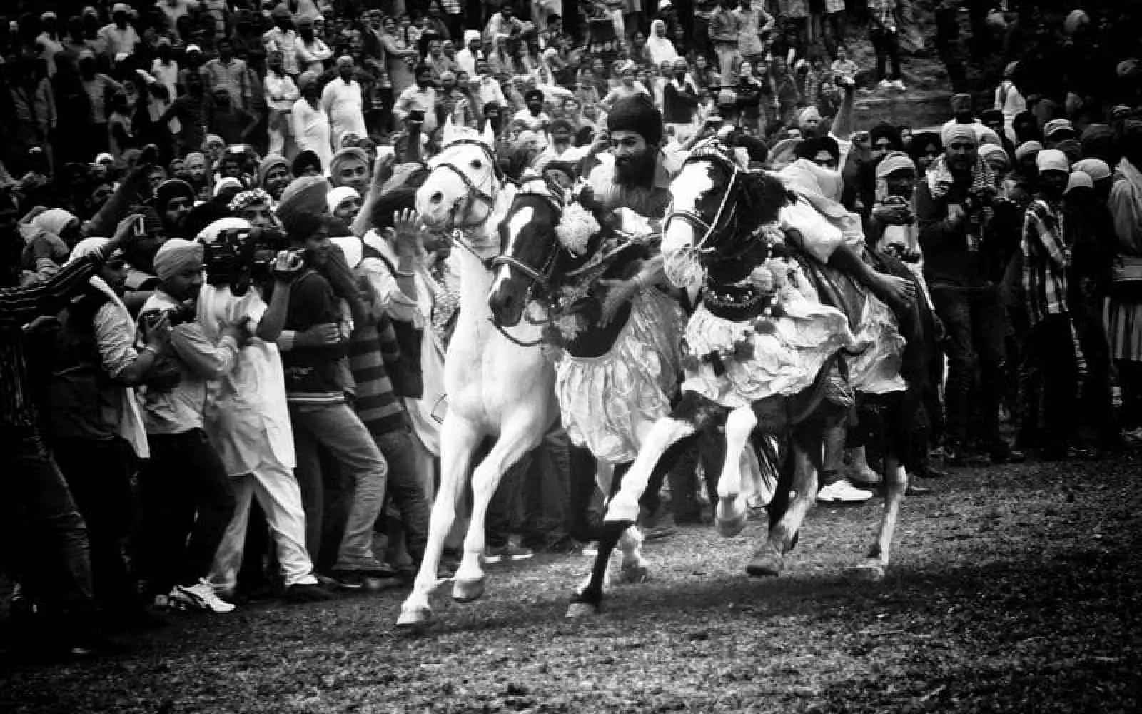 Kraft – Eine junger Nihang Singh reitet drei Pferde während der Hola Mohalla bei Anandpur Sahib, Indien