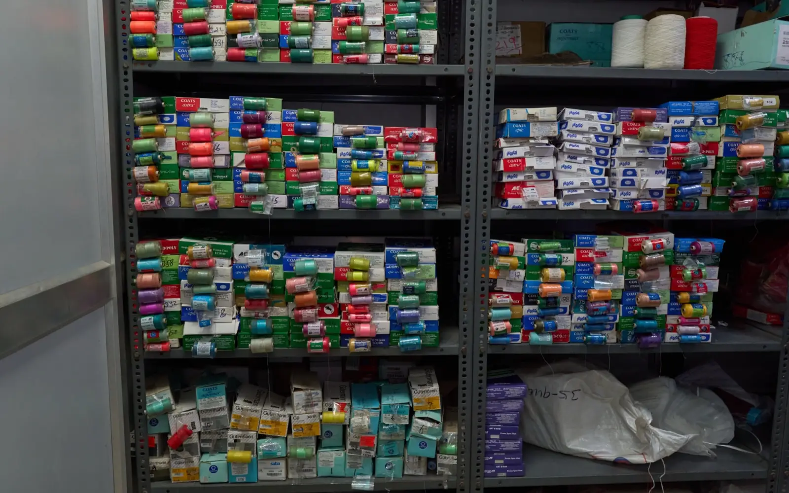 01KGCWJR3VD20NBVNVFWR96E9N