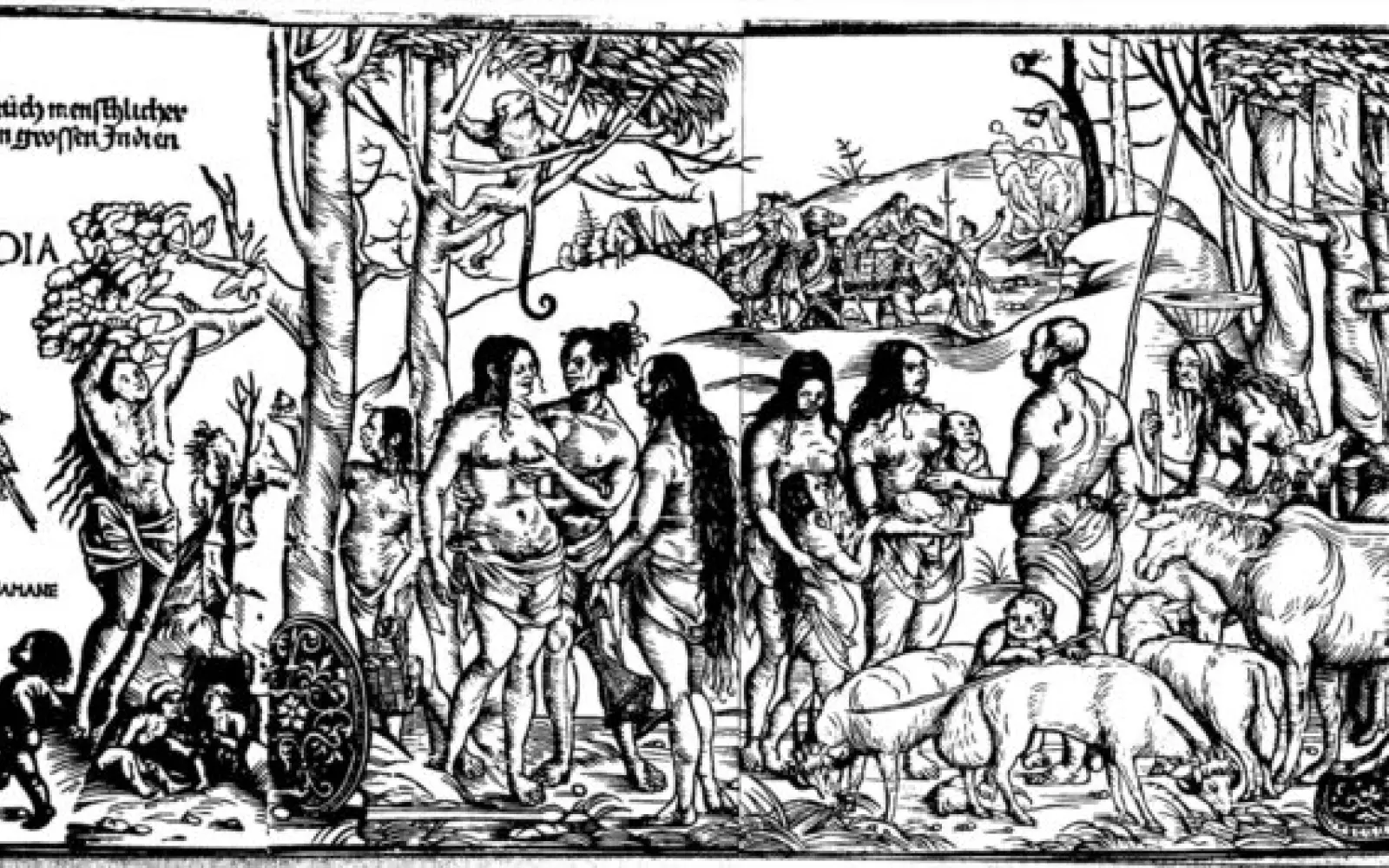 Das erste Bild von Indien, Rainer Schoder