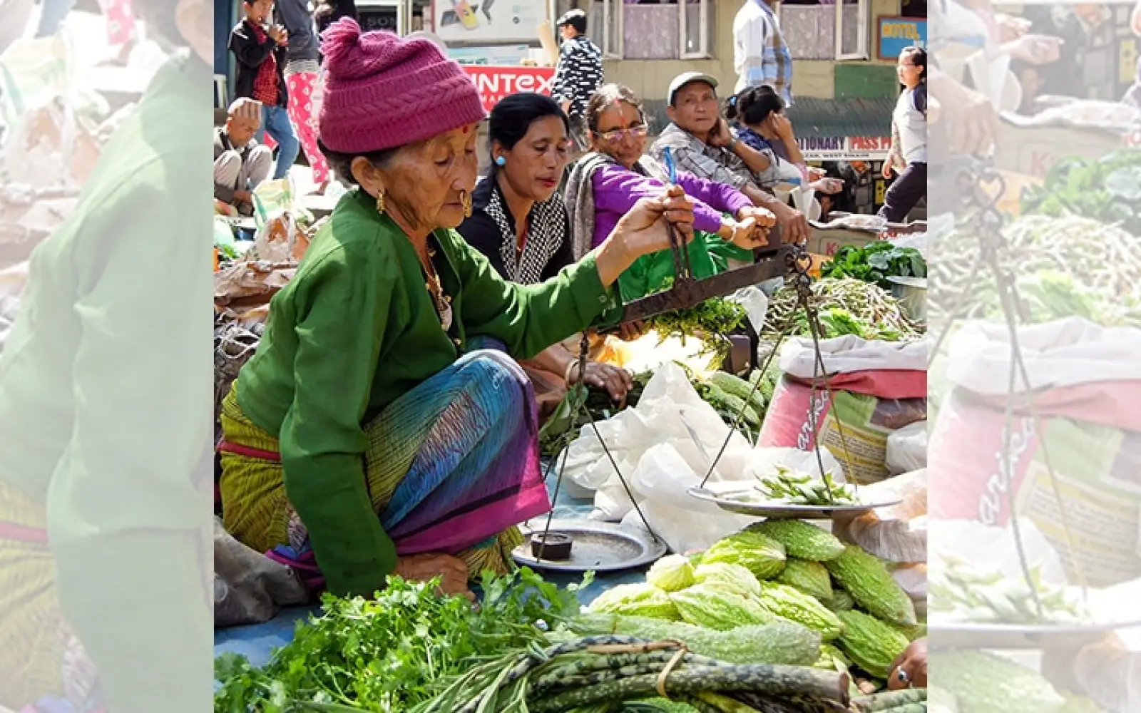 ccl_Reinhard-Gessl_Biomarkt-Sikkim