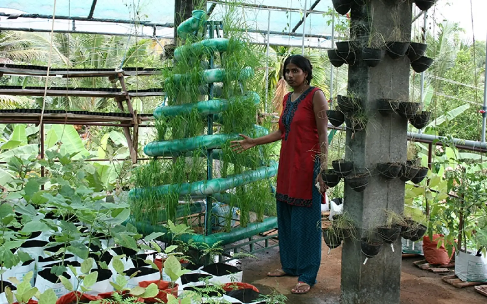Basis-Greenhouse_Theresa_c_Traudl-Kupfer