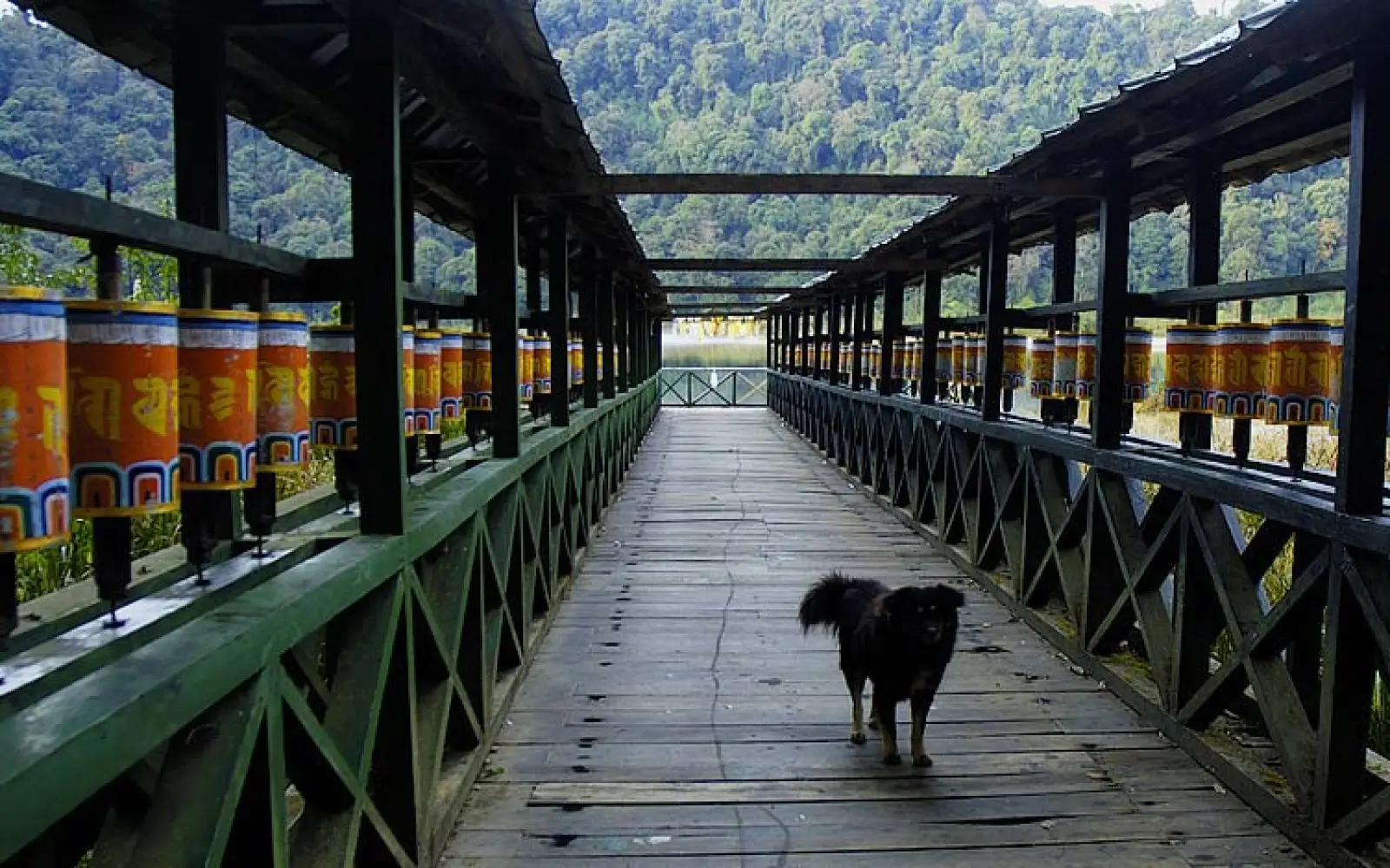 ccl_Yathin_Gebetsmuehlen-Khetchpoori-Lake-Sikkim