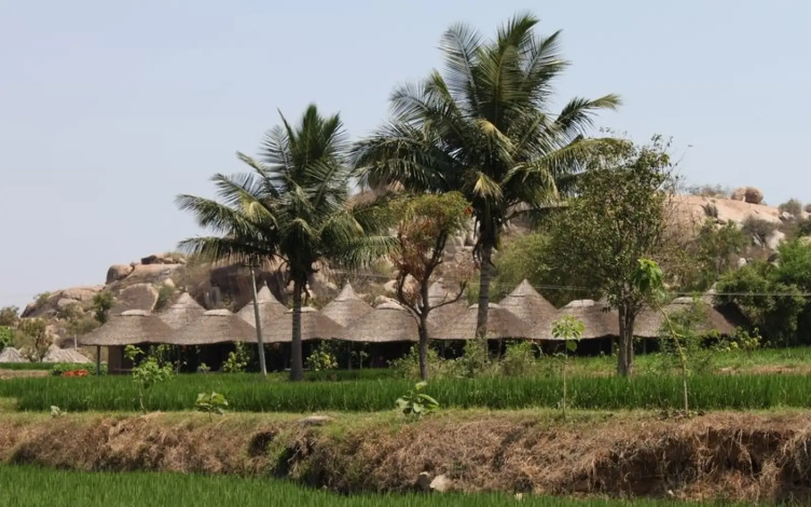 Shanti-Guesthouse-Hampi