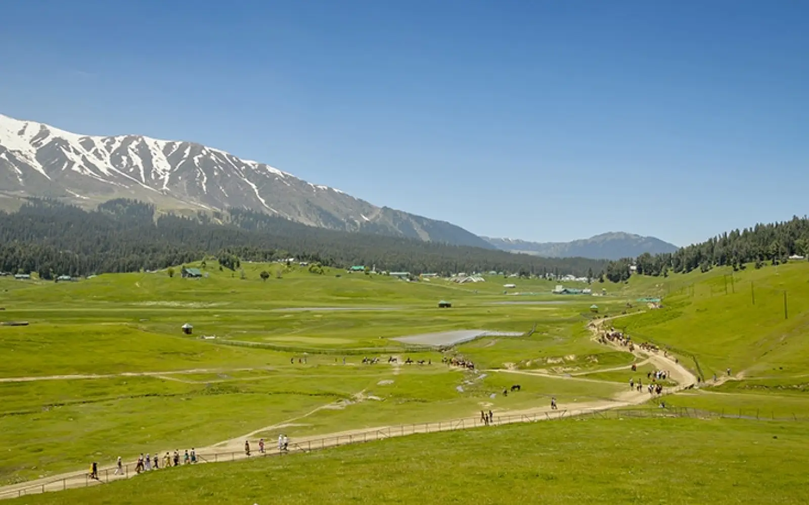 ccl_Dhimant-Patel-Pro_Gulmarg