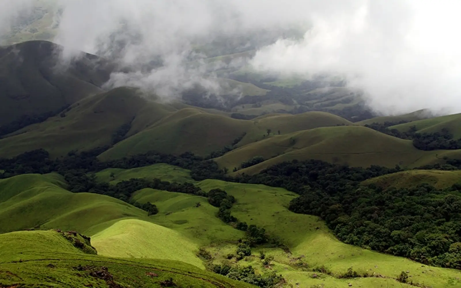 ccl_Dhruvaraj-S-Pro_Kudremukh