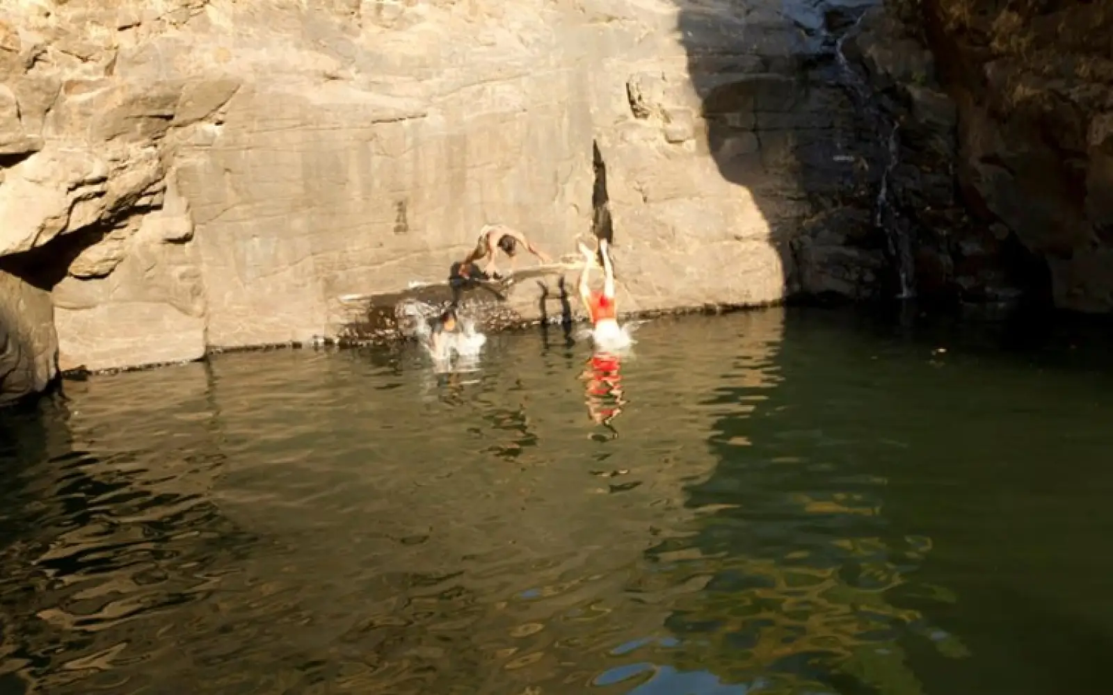 c_letscampout_The-Pool