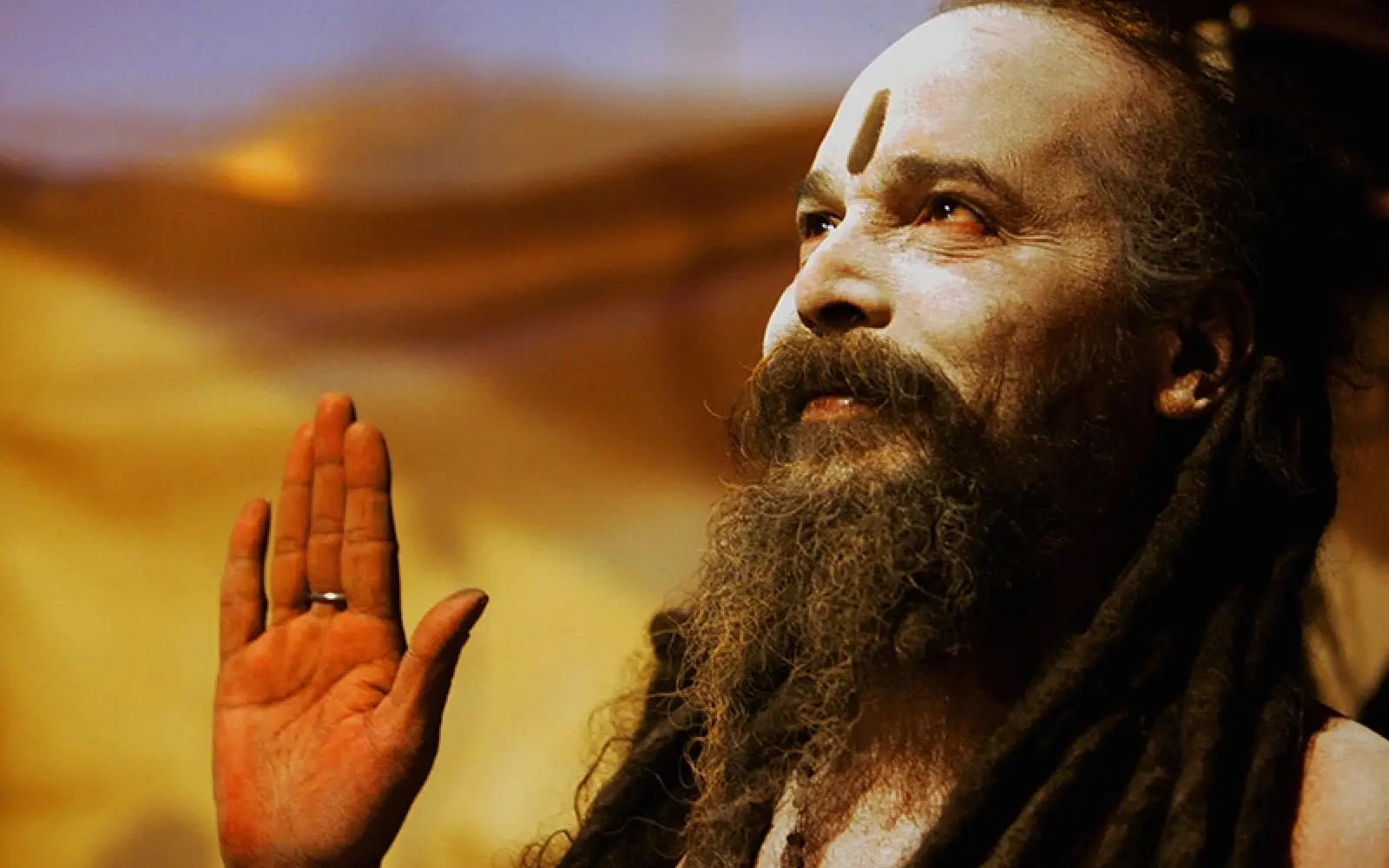 MP_Sadhu_Web