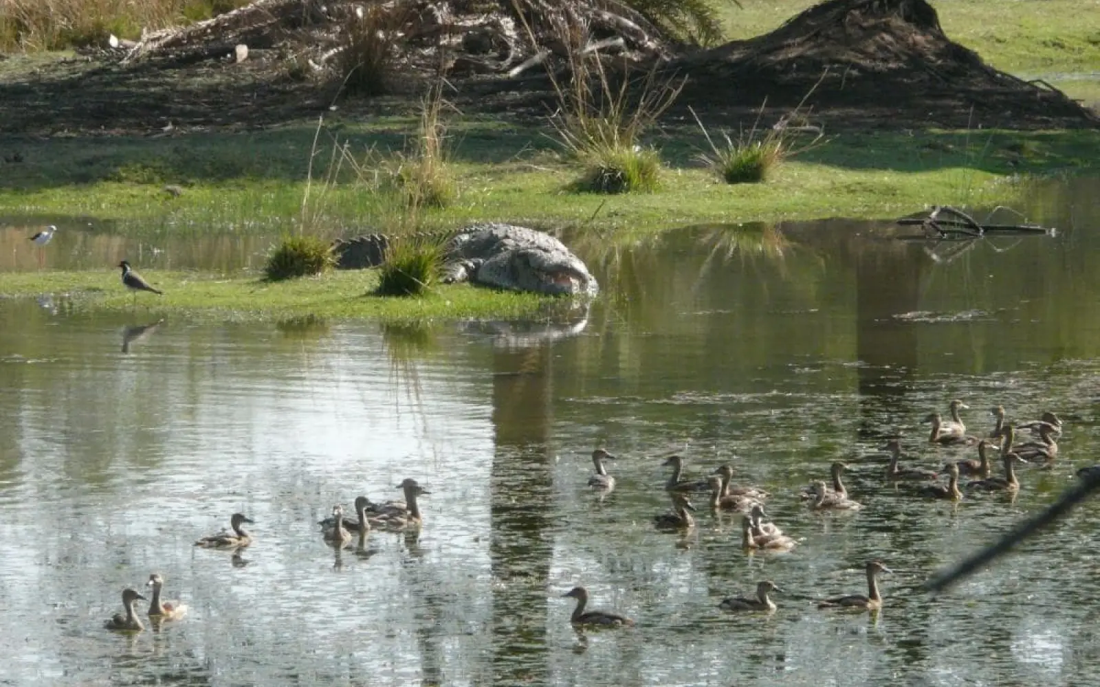 Van Vihar Nationalpark