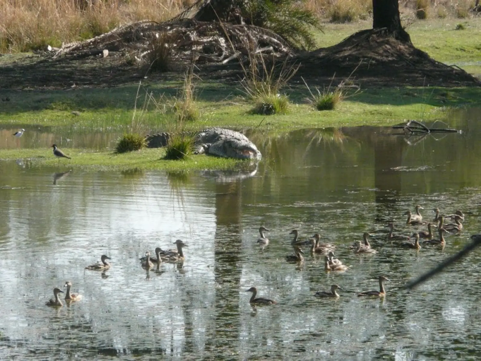 Van Vihar Nationalpark