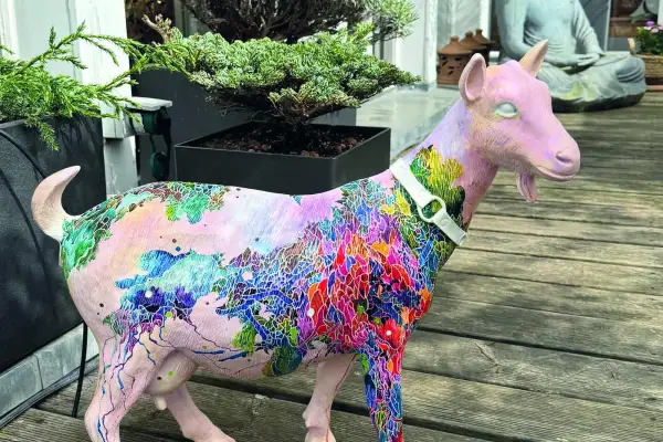 Heidi Goats India: Wie lebensgroße Kunstziegen indischen Familien helfen