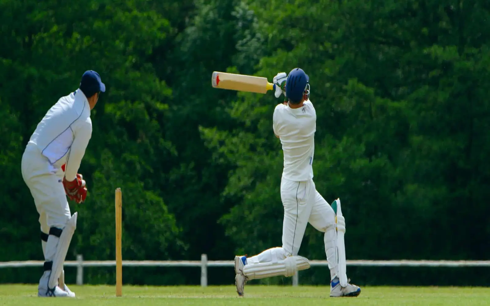 Cricket