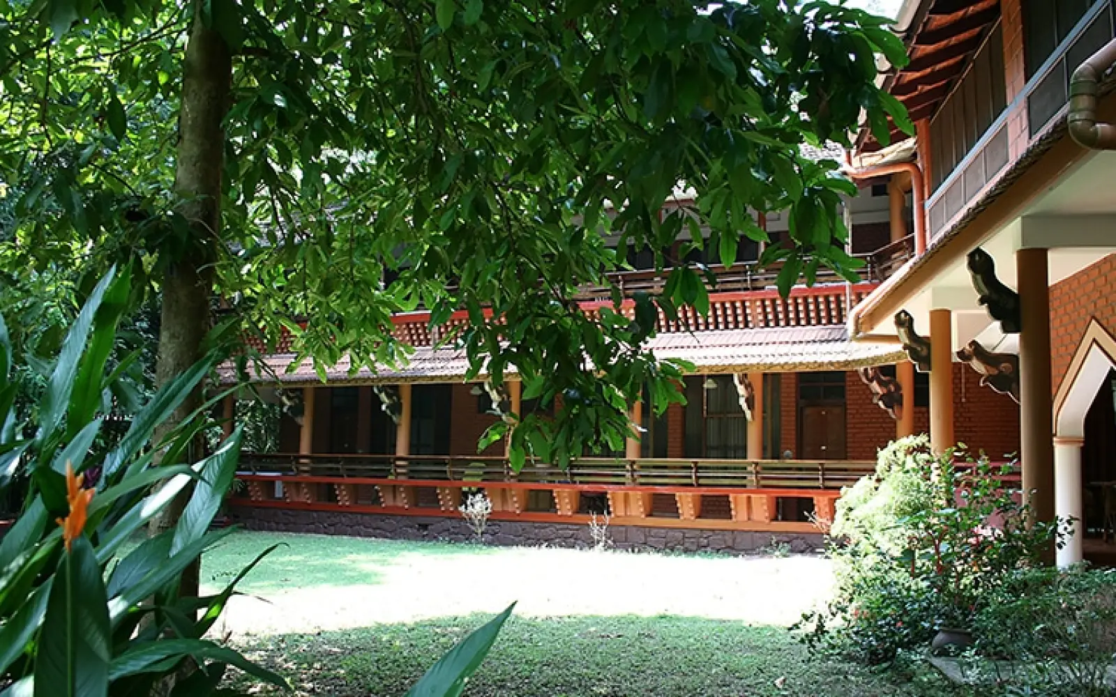 Kerala Basis Sternreise