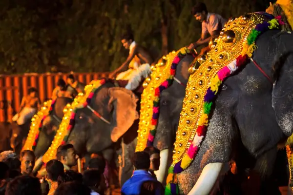 Indien entdecken: Kerala