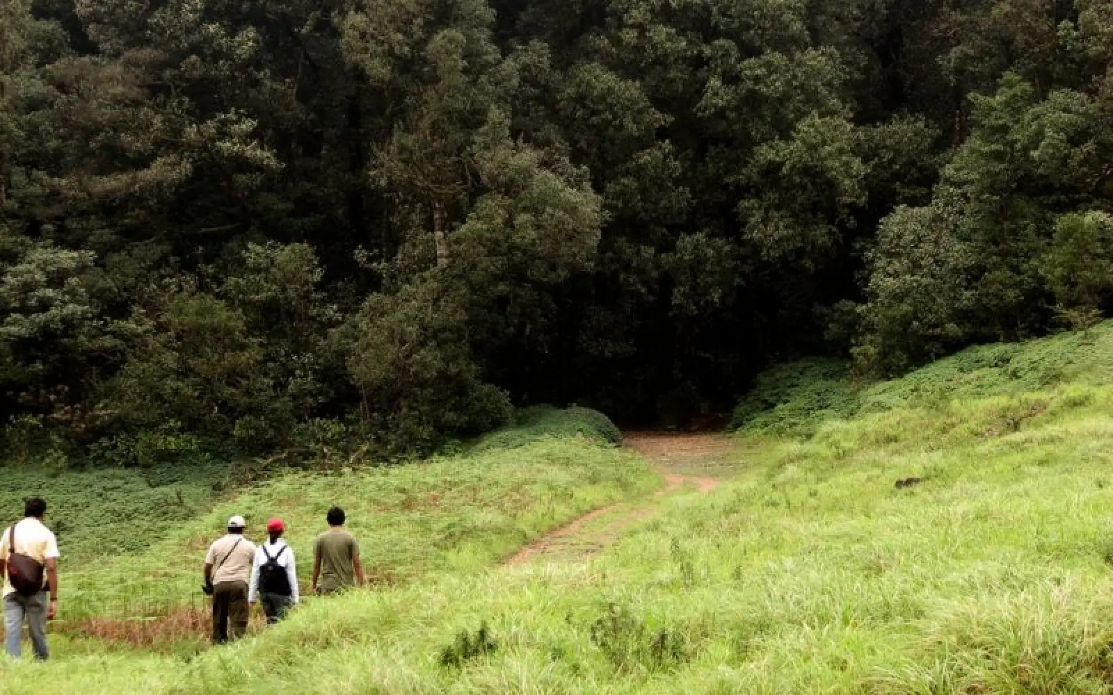 Wandern im Distrikt Chikkamagaluru in Karnataka. Foto: Nikhil Verma