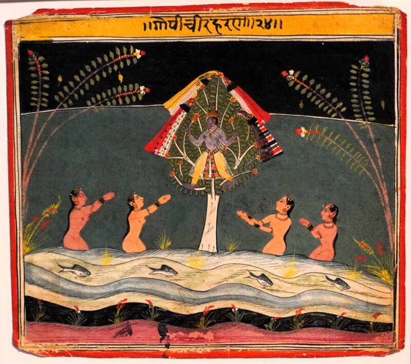 Krishna stiehlt die Kleidung der badenden Mädchen.
Die unverheirateten jungen Frauen des Dorfes nehmen in Form eines Ritual, das einen ganzen Monat andauert, ein morgendliches Bad im Fluss.
Krishna schleicht sich ans Ufer, stiehlt die Kleidung der Mädchen mit der er auf einen Baum klettert. Dann fordert er die Mädchen auf aus dem Wasser zu kommen und sich ihre Kleidung zu holen.
