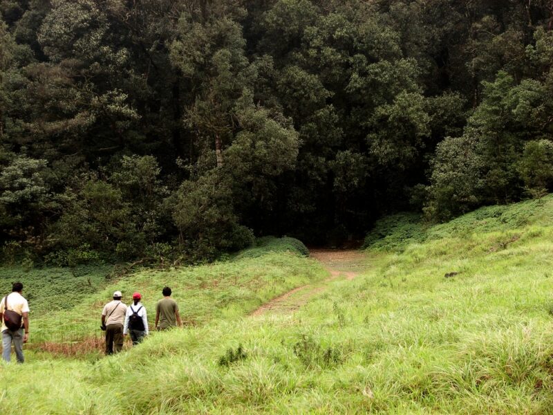 Wandern im Distrikt Chikkamagaluru in Karnataka. Foto: Nikhil Verma