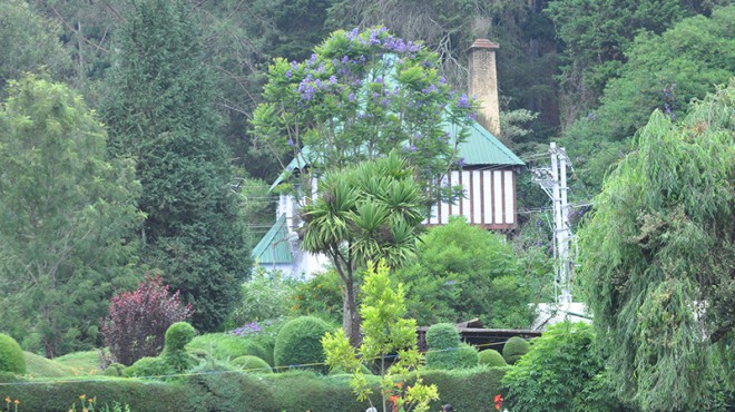 Der schöne botanische Garten in Ooty. Foto: Parshotam Lal Tandon