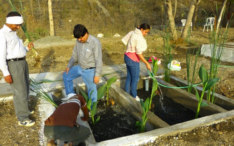 Die ersten Pflanzen der Kläranlage werden gepflanzt. Foto: DIZ/Ecumenical Sangam