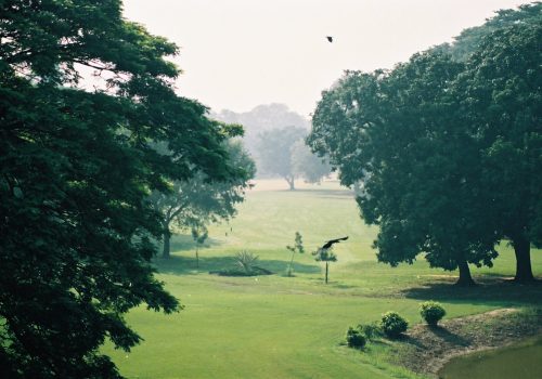 Royal Calcutta Golf Club. Foto: Fergus Ray Murrey