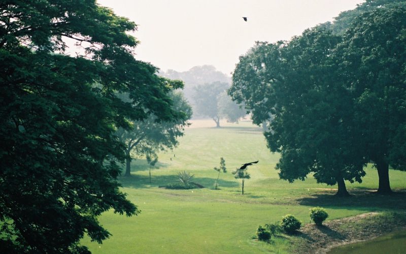 Royal Calcutta Golf Club. Foto: Fergus Ray Murrey