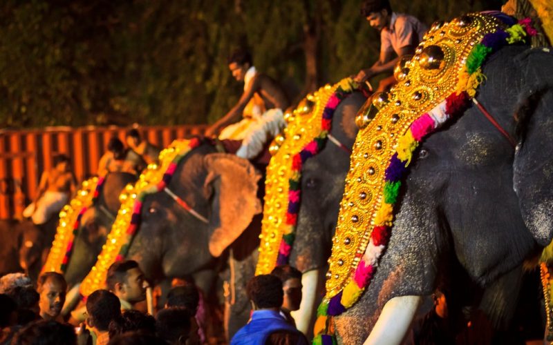 Geschmückte Elefanten beim Tempelfest Thrissur Pooram. Foto: Karthik Ramachandran